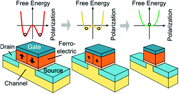 On the stabilization of ferroelectric negative capacitance in nanoscale ...