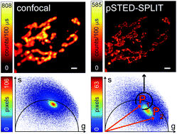 Photon-separation To Enhance The Spatial Resolution Of Pulsed STED ...