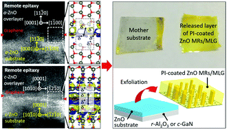 Remote Homoepitaxy Of Zno Microrods Across Graphene Layers Nanoscale Rsc Publishing