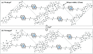 Perfluoroarene Induces A Pentapeptidic Hydrotrope Into A Ph Tolerant Hydrogel Allowing Naked Eye Sensing Of Ca2 Ions Nanoscale Rsc Publishing