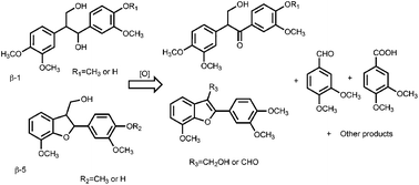 Toward The Oxidative Deconstruction Of Lignin Oxidation Of B 1 And B 5 Linkages Organic Biomolecular Chemistry Rsc Publishing