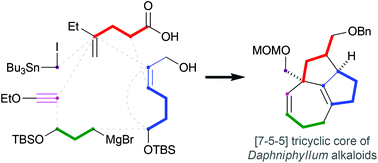 Synthesis of the [7-5-5] tricyclic core of Daphniphyllum alkaloids