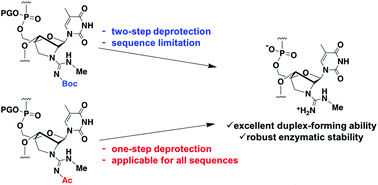 Facile Synthesis And Fundamental Properties Of An N Methylguanidine Bridged Nucleic Acid Guna Nme Organic Biomolecular Chemistry Rsc Publishing