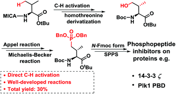 Stereoselective Synthesis Of A Phosphonate Pthr Mimetic Via Palladium Catalyzed G C Sp3 H Activation For Peptide Preparation Organic Biomolecular Chemistry Rsc Publishing