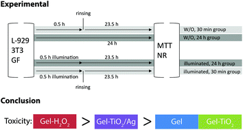 In Vitro Evaluation Of Experimental Light Activated Gels For Tooth Bleaching Photochemical Photobiological Sciences Rsc Publishing