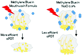 Controlling methylene blue aggregation: a more efficient alternative to  treat Candida albicans infections using photodynamic therapy -  Photochemical & Photobiological Sciences (RSC Publishing)  DOI:10.1039/C8PP00238J