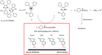 Photo Polymerization Properties Of Type Ii Photoinitiator Systems Based On 2 Chlorohexaaryl Biimidazole O Cl Habi And Various N Phenylglycine Npg Derivatives Photochemical Photobiological Sciences Rsc Publishing