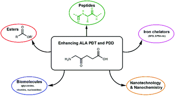 Chemical Approaches For The Enhancement Of 5 Aminolevulinic Acid Based Photodynamic Therapy And Photodiagnosis Photochemical Photobiological Sciences Rsc Publishing