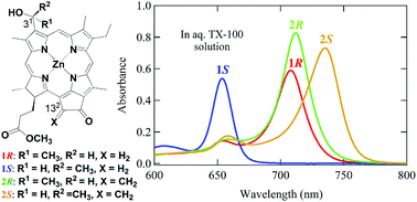 宏霞 Stereoselective self-aggregation of synthetic zinc 31-epimeric