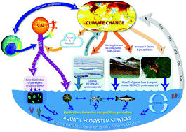 harmful effects of ozone layer depletion