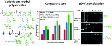 Structure-pDNA complexation and structure–cytotoxicity relationships of ...