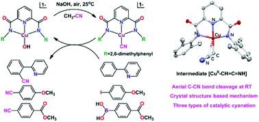 Base Induced C Cn Bond Cleavage At Room Temperature A