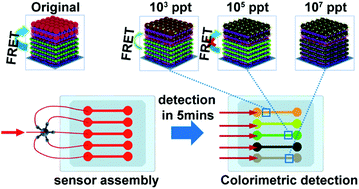 Simple And Sensitive Colorimetric Detection Of A Trace Amount Of 2 4 6 Trinitrotoluene Tnt With Qd Multilayer Modified Microchannel Assays Materials Chemistry Frontiers Rsc Publishing