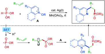 One Pot Bifunctionalization Of Unactivated Alkenes P O H Compounds And N Methoxypyridinium Salts For The Construction Of B Pyridyl Alkylphosphonates Organic Chemistry Frontiers Rsc Publishing