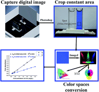 The Yxy colour space parameters as novel signalling tools for digital ...