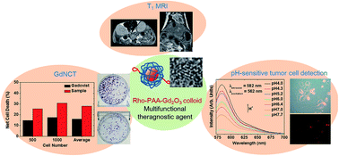 Magnetic resonance imaging, gadolinium neutron capture therapy, and ...