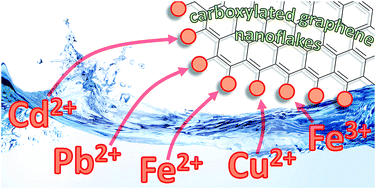 Highly Efficient Heavy Metal Extraction From Water With Carboxylated Graphene Nanoflakes Rsc Advances Rsc Publishing