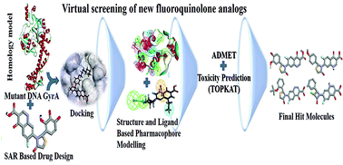 Design and virtual screening of novel fluoroquinolone analogs as ...