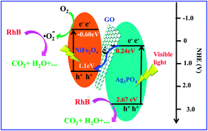 Fabrication Of Ag3po4 Go Nife2o4 Composites With Highly Efficient And Stable Visible Light Driven Photocatalytic Degradation Of Rhodamine B Rsc Advances Rsc Publishing