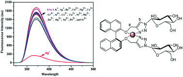 Synthesis and spectroscopic investigation of a novel sensitive and selective fluorescent ...