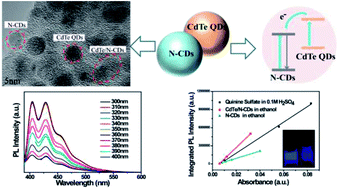 Ultra Highly Fluorescent N Doped Carbon Dots Cdte Qds Nanohybrids With Excitation Independent Emission In The Blue Violet Region Rsc Advances Rsc Publishing