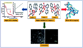 Design, synthesis and characterization of novel chromone based-copper ...