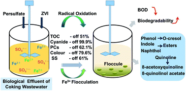 Sulfate Radical Oxidation Combined With Iron Flocculation For Upgrading Biological Effluent Of Coking Wastewater Rsc Advances Rsc Publishing