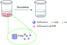 Purification And Rapid Dissolution Of Potassium Sulfate In Aqueous Solutions Rsc Advances Rsc Publishing