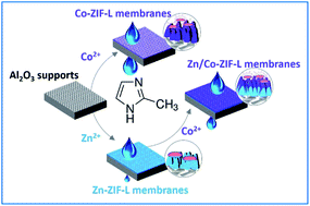 Heterogeneous Zif L Membranes With Improved Hydrophilicity And Anti Bacterial Adhesion For Potential Application In Water Treatment Rsc Advances Rsc Publishing