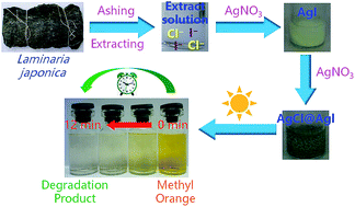 Green Synthesis Of A Agcl Agi Nanocomposite Using Laminaria Japonica Extract And Its Application As A Visible Light Driven Photocatalyst Rsc Advances Rsc Publishing