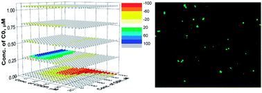 glutathione or kojic acid Glutathione is critical for NK cell-mediated immunity: Cell Reports main image 0