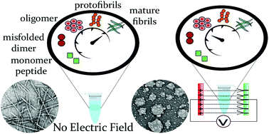 Modulation of aggregation with an electric field; scientific roadmap for a potential non ...