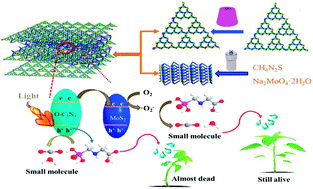 Fabrication Of Interlayer B Cd G C3n4 Mos2 For Highly Enhanced Photodegradation Of Glyphosate Under Simulated Sunlight Irradiation Rsc Advances Rsc Publishing