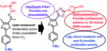 Oxadiazoles antibiotics