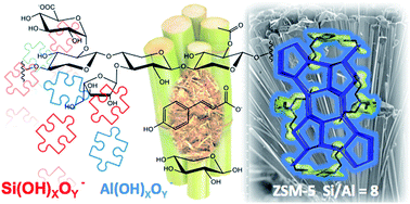 Biomass-mediated ZSM-5 Zeolite Synthesis: When Self-assembly Allows To ...