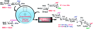 Photocatalytic activation of peroxymonosulfate (PMS) by CNN