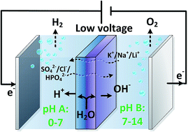 Ion transport mechanisms in bipolar membranes for photo