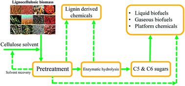 pustes op miste dig selv pakke Cellulose solvent-based pretreatment for enhanced second-generation biofuel  production: a review - Sustainable Energy & Fuels (RSC Publishing)