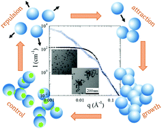 Nanoparticle self-assembly: from interactions in suspension to polymer ...