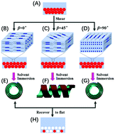 Reversible solvent-sensitive actuator with continuous bending/debending ...