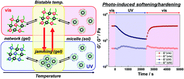 Photo/thermoresponsive ABC Triblock Copolymer-based Ion Gels ...