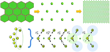 A Coarse Grained Multiscale Model To Simulate Morphological - 