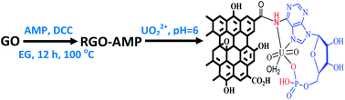 Highly Efficient Adsorptive Removal Of Uranyl Ions By A Novel Graphene Oxide Reduced By Adenosine 5 Monophosphate Rgo Amp Journal Of Materials Chemistry A Rsc Publishing