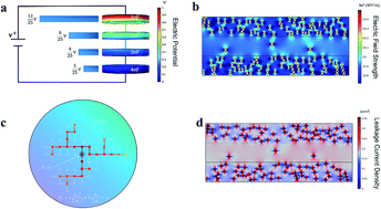 Multilayered Hierarchical Polymer Composites For High - 