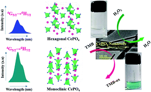 Structure Dependent Luminescence Peroxidase Mimetic And Hydrogen Peroxide Sensing Of Samarium Doped Cerium Phosphate Nanorods Journal Of Materials Chemistry B Rsc Publishing