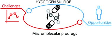 The Benefits Of Macromolecular Hydrogen Sulfide Prodrugs - 