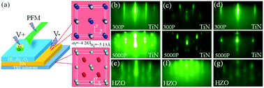 Epitaxial Ferroelectric Hf0 5zr0 5o2 Thin Film On A Buffered Ysz Substrate Through Interface Reaction Journal Of Materials Chemistry C Rsc Publishing