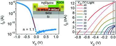 Gate-tunable and high optoelectronic performance in multilayer WSe2 P–N ...