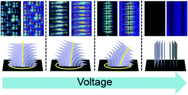 Controllable liquid crystal defect arrays induced by an in-plane electric  field and their lithographic applications - Journal of Materials Chemistry  C (RSC Publishing)
