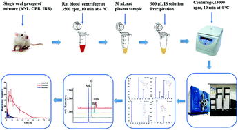 A Selective And Robust Uplc Ms Ms Method For The Simultaneous Quantitative Determination Of Anlotinib Ceritinib And Ibrutinib In Rat Plasma And Its Application To A Pharmacokinetic Study Analyst Rsc Publishing